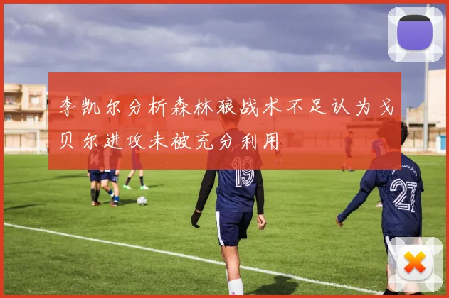 李凯尔分析森林狼战术不足认为戈贝尔进攻未被充分利用