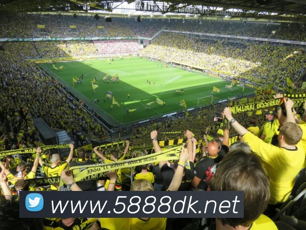 星空体育注册入口APP 封面图